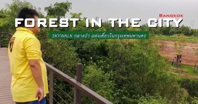 ไปถ่ายรูปกัน : “ศูนย์เรียนรู้ป่าในกรุง” ทางเดินลอยฟ้า แห่งกรุงเทพมหานคร